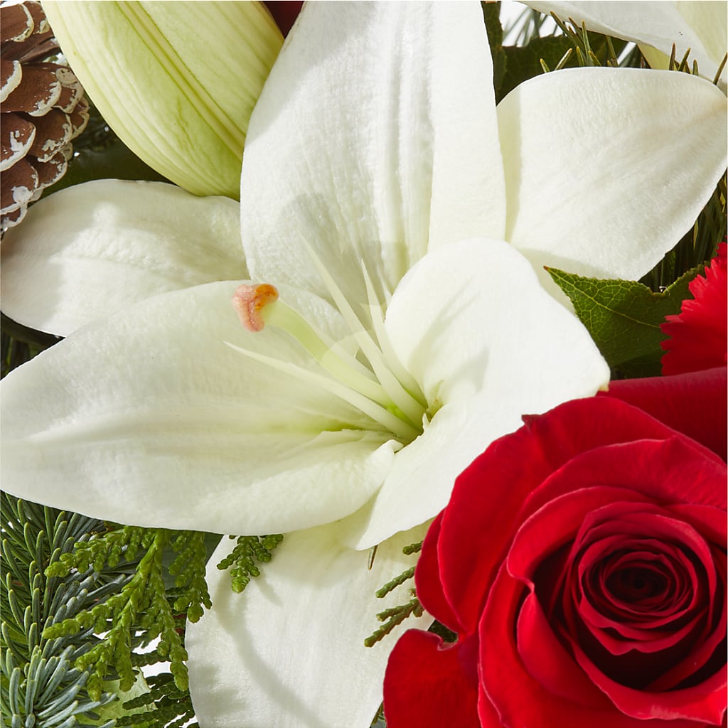 Oh So Jolly Bouquet –  Harpers House Of Flowers, Goldsboro NC
