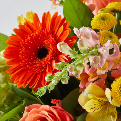 Autumn Sunshine Bouquet –  Harpers House Of Flowers, Goldsboro NC