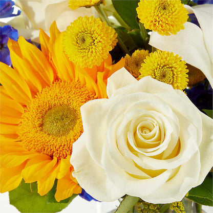 Stargazing Bouquet –  Harpers House Of Flowers, Goldsboro NC