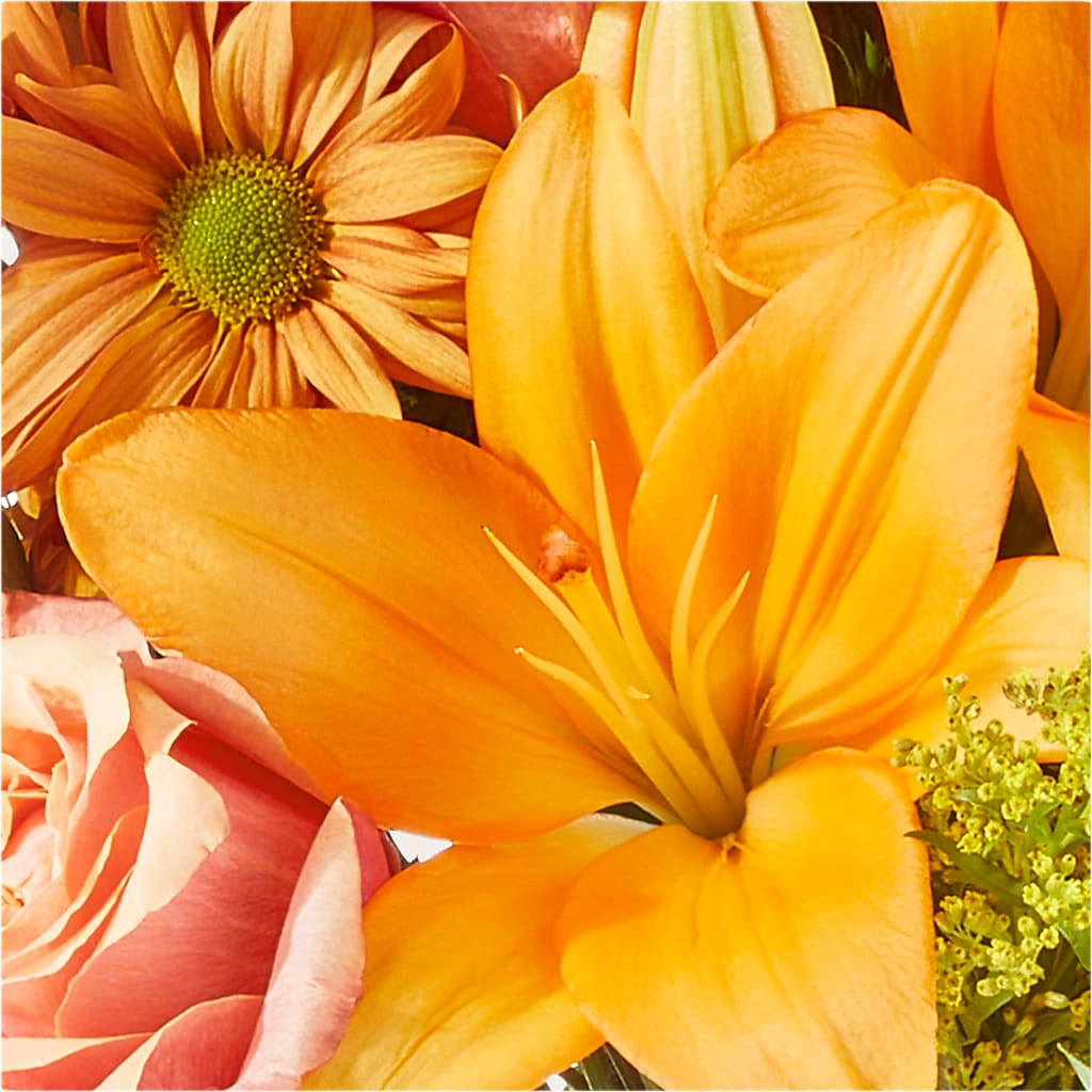 Harvest Hayride Bouquet –  Harpers House Of Flowers, Goldsboro NC