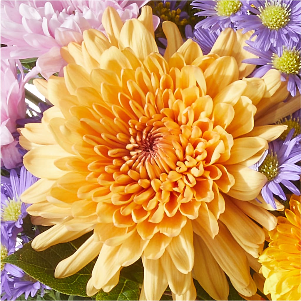 Countryside Bouquet –  Harpers House Of Flowers, Goldsboro NC