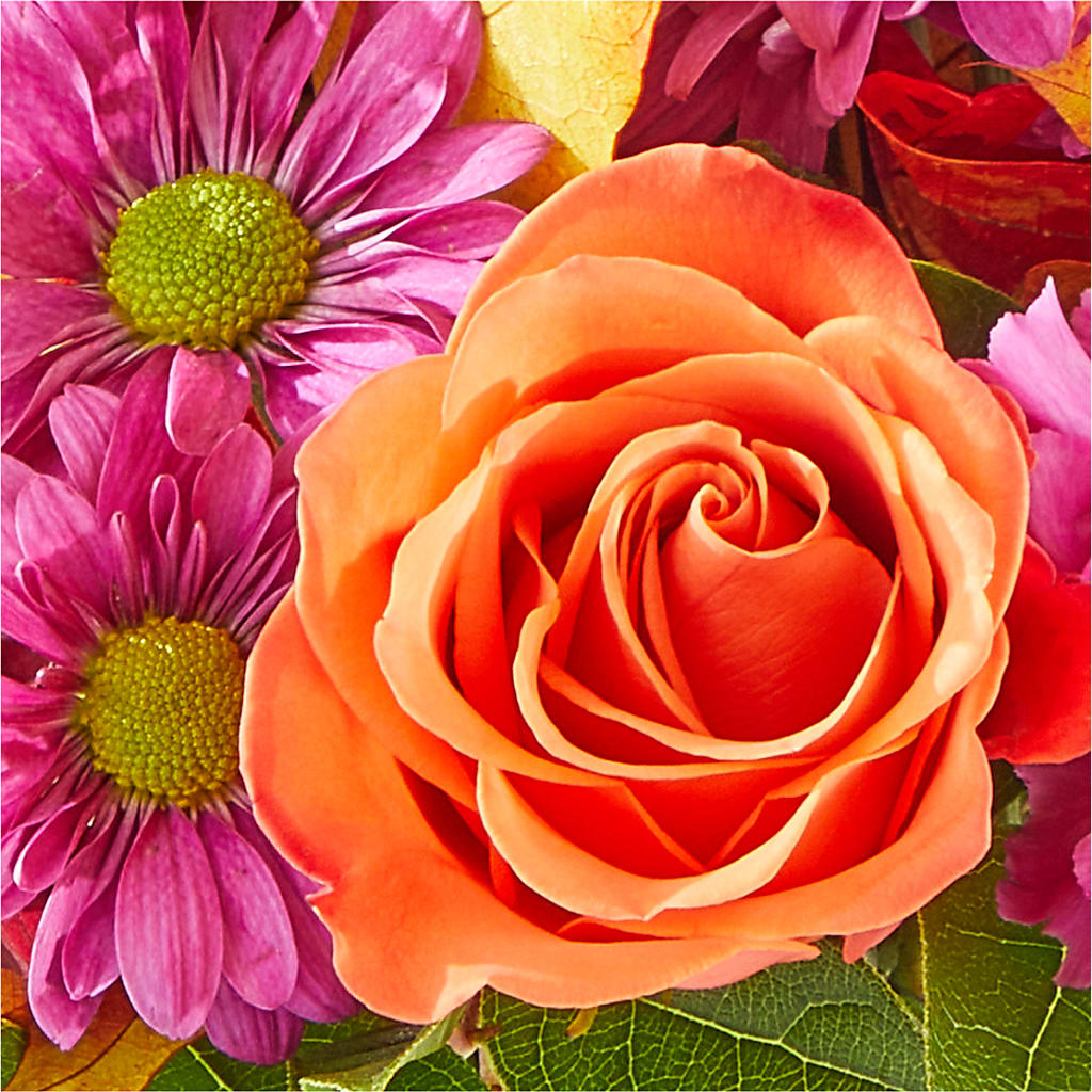 Mum's the Word Bouquet –  Harpers House Of Flowers, Goldsboro NC