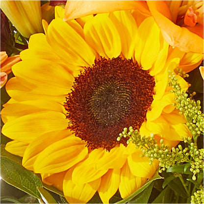 Seasons Change Bouquet –  Harpers House Of Flowers, Goldsboro NC