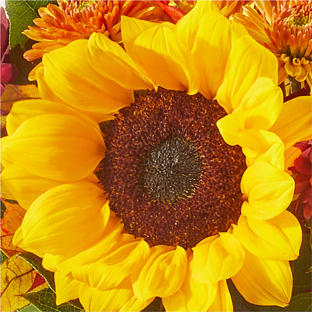 Sunny Side Bouquet –  Harpers House Of Flowers, Goldsboro NC