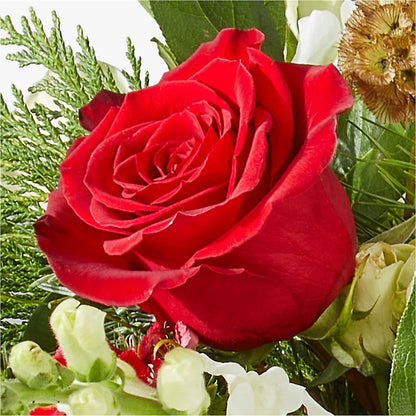 Deck the Halls Bouquet –  Harpers House Of Flowers, Goldsboro NC