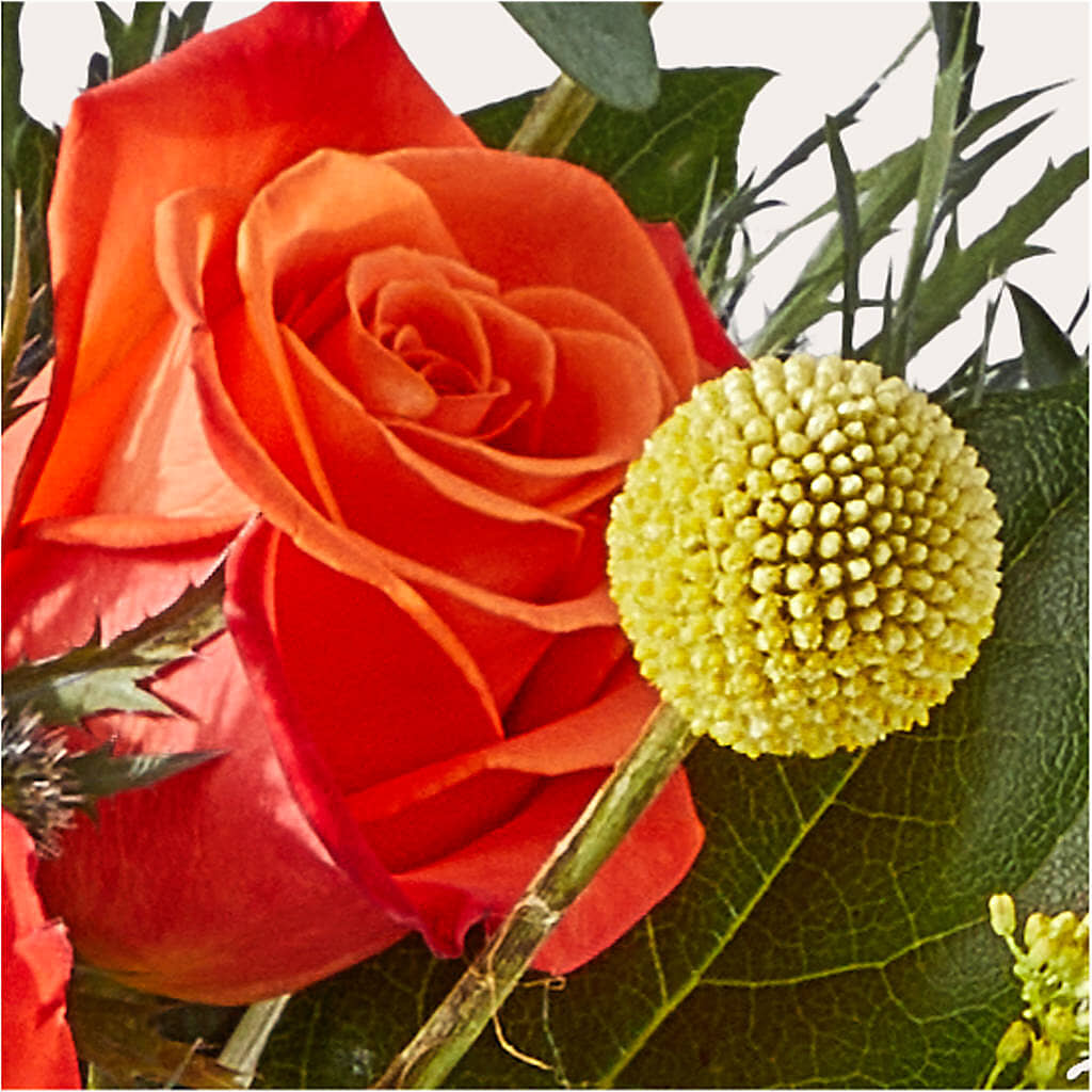 Disco Bouquet –  Harpers House Of Flowers, Goldsboro NC