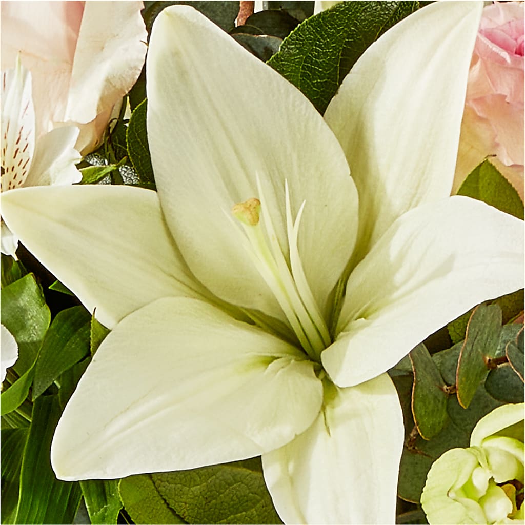 Ballet Slippers Bouquet –  Harpers House Of Flowers, Goldsboro NC