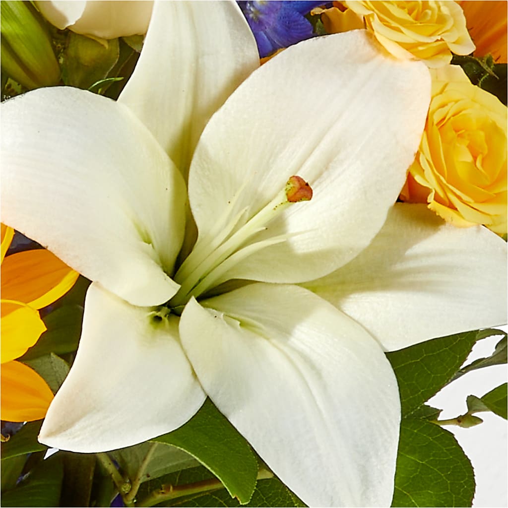 Wonderfully Sunny Bouquet –  Harpers House Of Flowers, Goldsboro NC