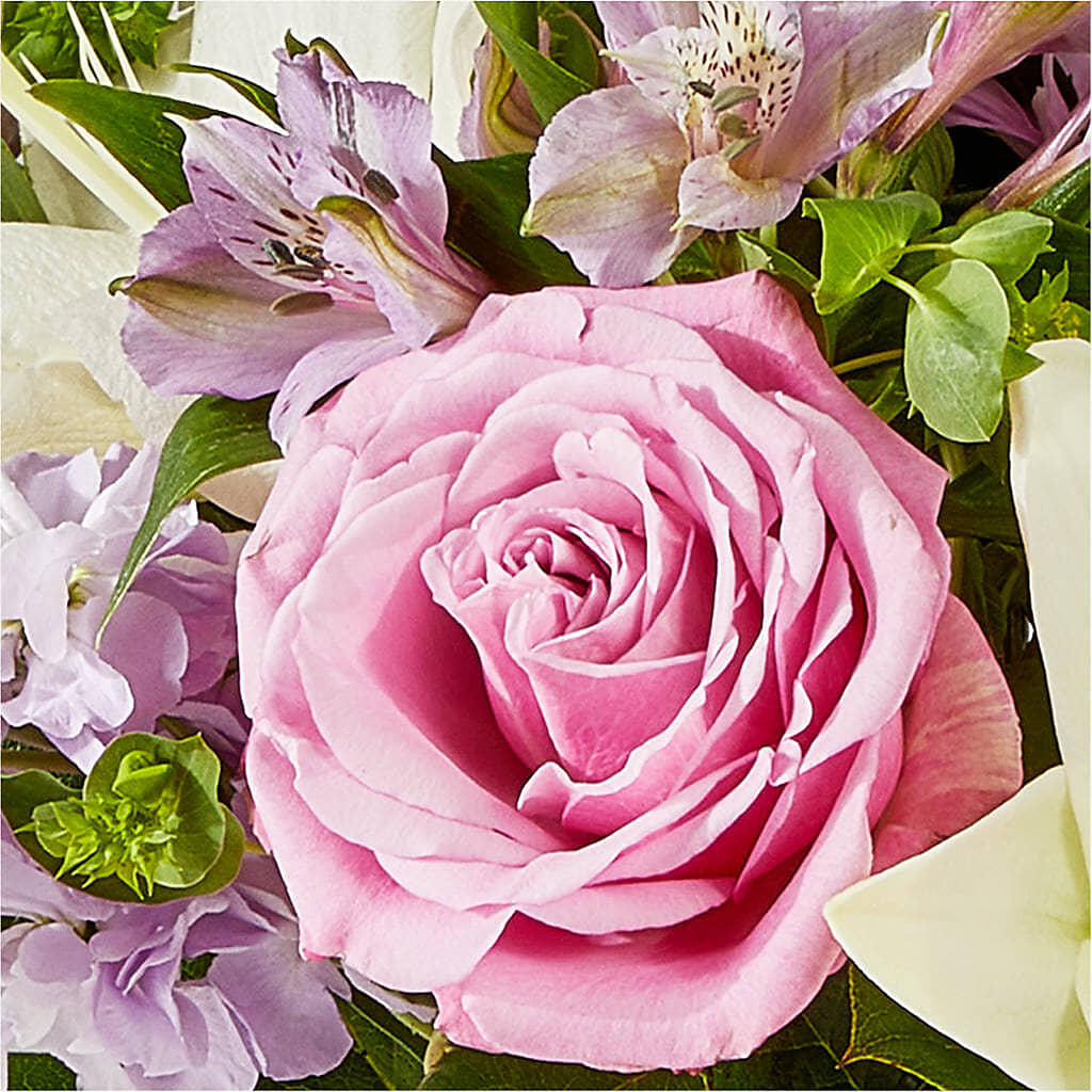 Daydreamer Bouquet –  Harpers House Of Flowers, Goldsboro NC