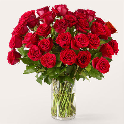The One Red Rose Bouquet –  Harpers House Of Flowers, Goldsboro NC