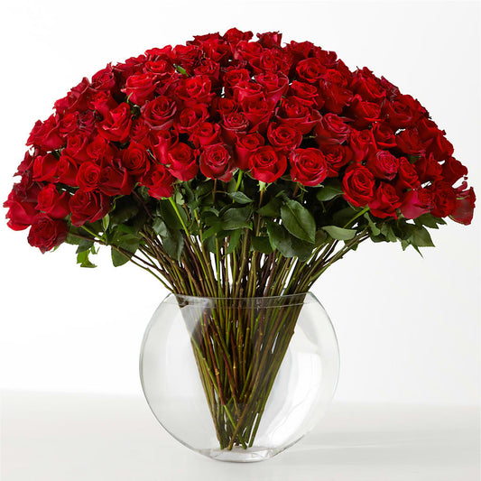 The Idealist –  Harpers House Of Flowers, Goldsboro NC