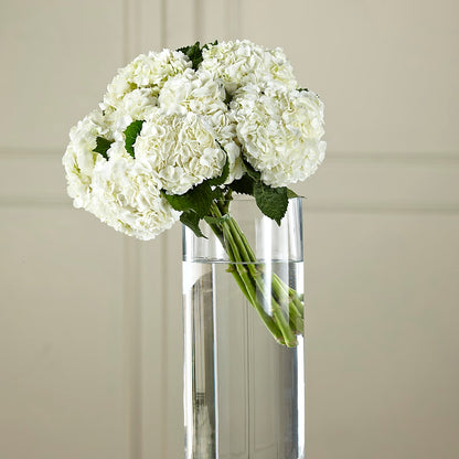 White Hydrangea Hand-Tied Bouquet –  Harpers House Of Flowers, Goldsboro NC