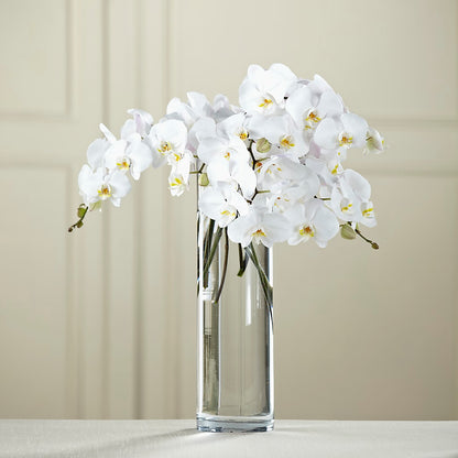 White Phalaenopsis Bouquet –  Harpers House Of Flowers, Goldsboro NC