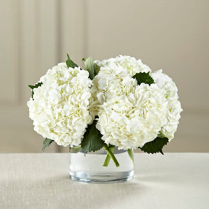 White Hydrangea Bouquet –  Harpers House Of Flowers, Goldsboro NC